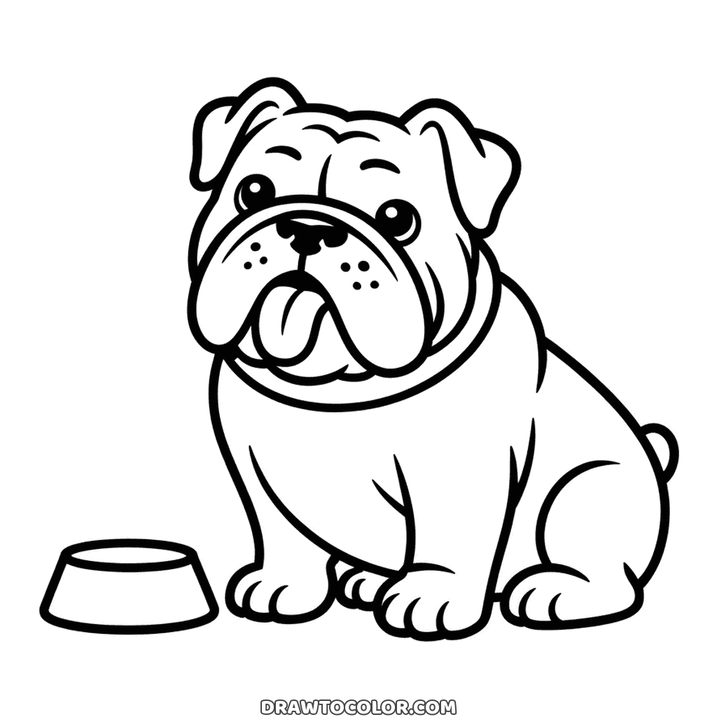 Bulldog arrugado con carrillos caídos sentado junto a un comedero vacío, para imprimir y sombrear