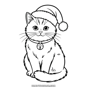 Coloriage chat de Noël réaliste : un chat à poil long assis, en bonnet de père Noël, un grelot au collier