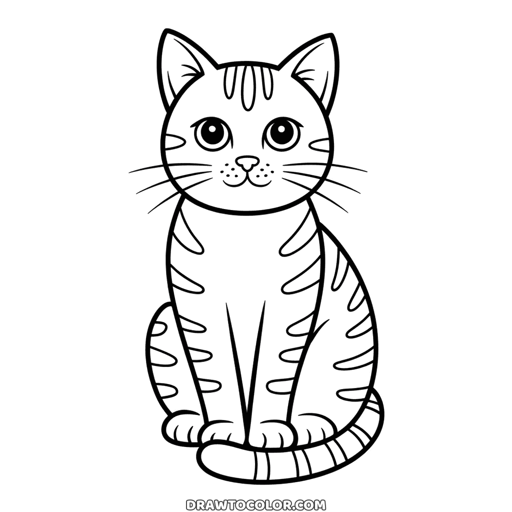 Coloring page of a tabby cat sitting tall, stripes on its body, legs and tail wrapped around its paws